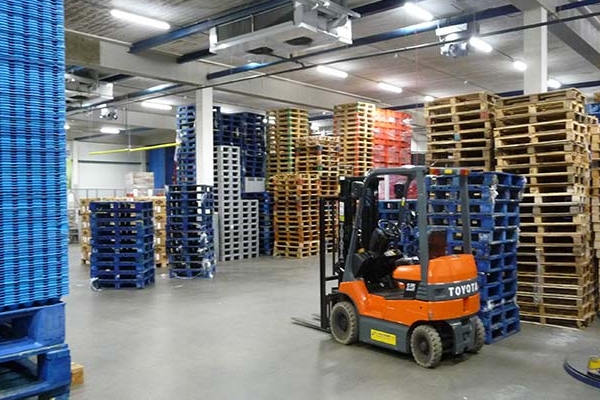 Arctic Koel & Vrieshuis