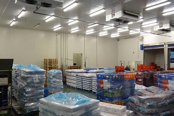 Arctic Koel & Vrieshuis