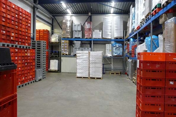 Arctic Koel & Vrieshuis